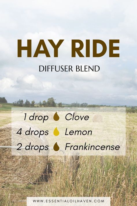 Take a trip to the countryside with the Hay Ride Diffuser Blend! Earthy, woodsy, and a hint of spice, this blend captures the essence of a crisp autumn day on the farm. Fill your space with that cozy, nostalgic scent of fall adventures. Diy Perfume Recipes, Fall Essential Oil Blends, Hay Ride, Fall Adventures, Best Diffuser, Fall Essential Oils, Fall Diffuser Blends, Essential Oil Brands, Recipes For Fall