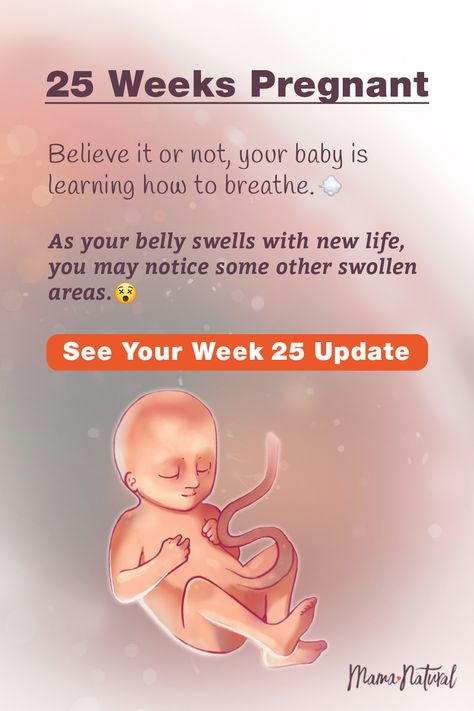 See what's up with baby, mama, and more when you're 25 weeks pregnant. The ultimate week by week natural pregnancy guide! Learn everything from pregnancy symptoms, development, learn to track your baby's growth and natural remedies for a healthy pregnancy. Click to find a complete timeline from the first trimester, second trimester, third trimester with tips for mom and baby to prepare them for a natural birth.   #naturalpregnancy #pregnancytips #naturalbirth Pregnancy Symptoms By Week, Baby In Womb, Tips For Pregnant Women, Diet While Pregnant, 24 Weeks Pregnant, 26 Weeks Pregnant, 25 Weeks Pregnant, Pregnancy Guide, Natural Pregnancy