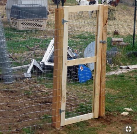 Diy Inexpensive Fence, Fence With Chicken Wire, Diy Gate Outdoor, Lake Fence, Build A Gate, Goat Fence, Building A Gate, Build A Fence, Alpine Goats