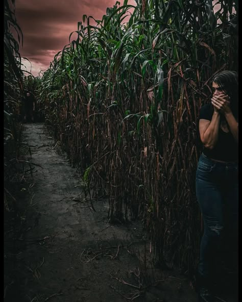 Horror photoshoot Halloween Corn Maze Aesthetic, Haunted Corn Maze Aesthetic, Scary Photoshoot Ideas, Corn Photoshoot, Corn Maze Photoshoot, Corn Maze Aesthetic, Maze Photoshoot, Corn Maze Pictures, Corn Field Photoshoot