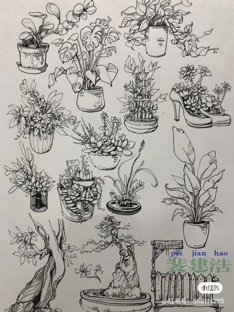 How To Sketch Plants, Drawing Potted Plants, Sketching In Public, Plant Ink Drawings, Plant Study Drawing, Plant Pen Drawing, Plant Reference Drawing, Plant Overgrowth, Moss Sketch