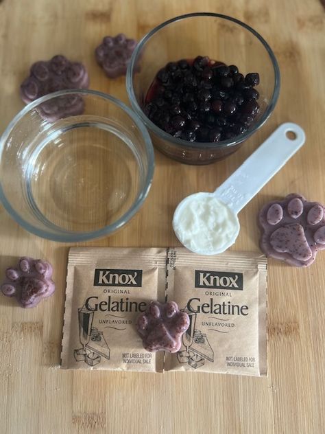 Blueberry Gelatin Dog Treats Dog Gelatin Treats, Gummy Dog Treats, Probiotic Dog Treats, Low Calorie Dog Treats, Blueberry Jello, Baby Treats, Pup Treats, Gelatin Powder, Treat Business