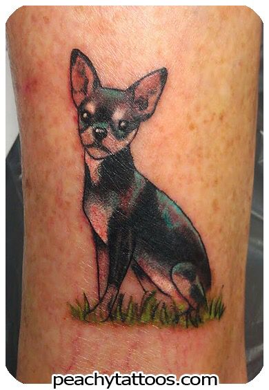 Chihuahua Text Tatoos, Chi Tattoo, Chihuahua Tattoos, Chihuahua Portrait, Mini Pincher, Bow Tattoos, Animal Tattoos For Men, Chihuahua Tattoo, Nice Tattoos