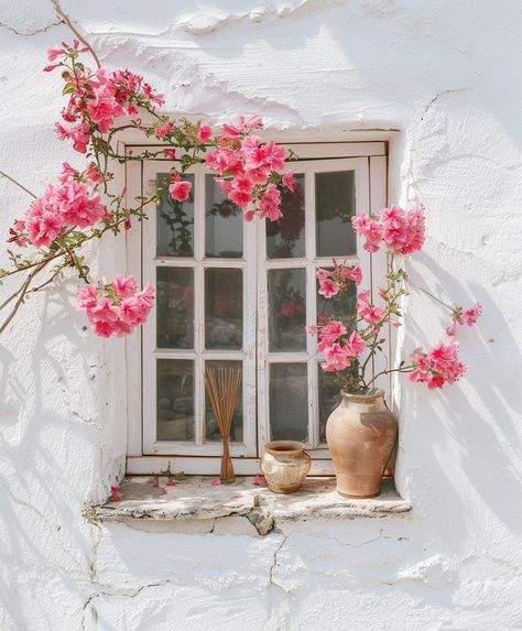 Beautiful window decor made of natural flowers. #homedecoration #rustichome #flowersoftheday #mediterranean #housebeautiful Mediterranean Window, Italian Windows, Mediterranean Windows, Mediterranean Flowers, Window With Flowers, Lemon Press, Street Wall, Artsy Design, Flower Window