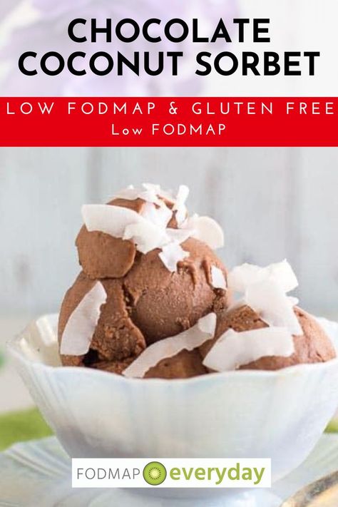 Low FODMAP Chocolate Coconut Sorbet Low Fodmap Coffee, Low Fodmap Chocolate, Sorbet Is, Coconut Sorbet, Low Fodmap Diet Recipes, Creami Recipes, Ibs Recipes, Fodmap Diet Recipes, Fodmap Friendly