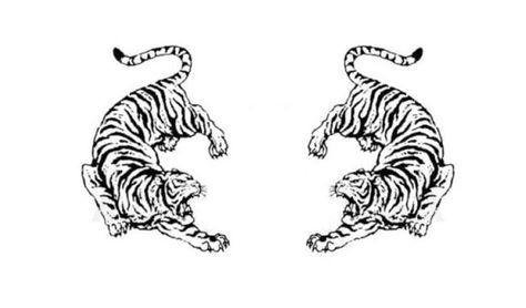 Twin Tiger Tattoo, Tiger Tattoo Back, Tattoo Back, Tattoo Design Book, Tiger Tattoo, Muay Thai, Back Tattoo, Future Tattoos, Tigers