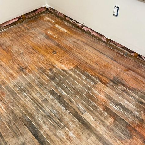 Bleached Wood Floors Before And After, Gel Stain Hardwood Floors, How To Clean Hardwood Floors, Painted Wood Floors Ideas, Redoing Floors, Floor Painting Ideas, Painting Hardwood Floors, Stained Plywood Floors, Stained Hardwood Floors