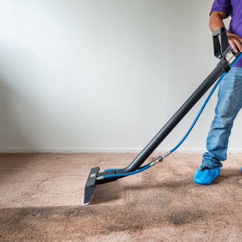 Rug Cleaning Services EL Cerrito House Carpet, Aladdin Magic Carpet, Affordable Carpet, Carpet Repair, Affordable Rugs, Professional Carpet Cleaning, Carpet Cleaning Service, Cleaning Company, Commercial Carpet