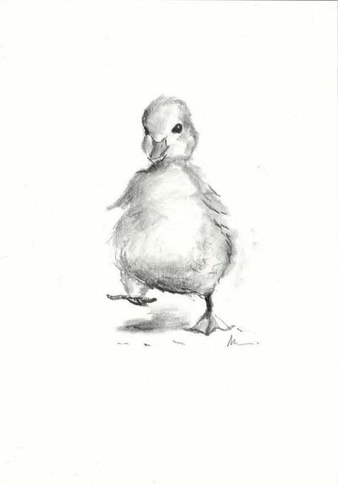 Nursery Black And White, Duck Illustration, Duck Drawing, Baby Animal Drawings, Drawing Hands, Couple Drawing, Baby Animal Nursery, Charcoal Drawings, Charcoal Art