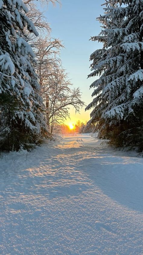 Winter Sunrise Wallpaper, Winter Scenery Pictures, Seasonal Pictures, Winter Snow Photography, Sunrise Winter, Beautiful Winter Pictures, Winter Board, Winter Pics, Snow Season