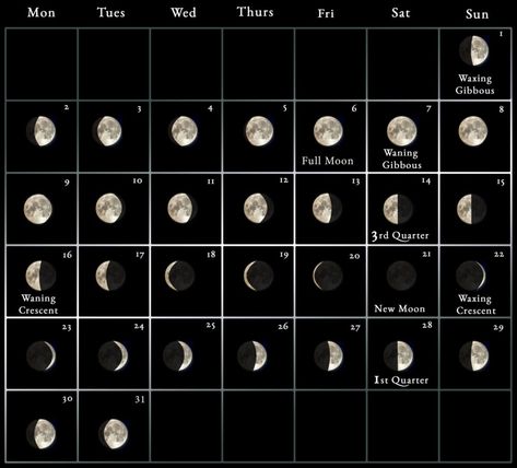 2023 Moon Calendar - every phase and stage of the moon Moon Stages, Moon Map, New Moon Phase, Moon Meaning, Moon Names, Moon Orbit, Next Full Moon, Moon Phase Calendar, Lunar Phases