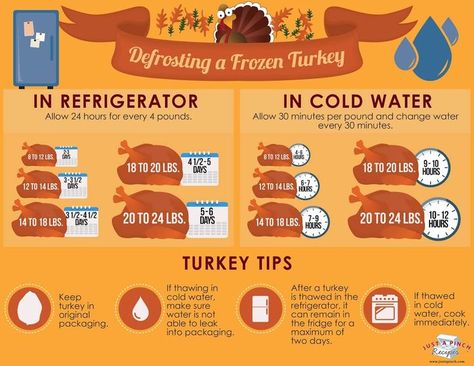 Defrosting a Frozen Turkey - easy guide to defrosting a frozen turkey #Thanksgiving Defrost Turkey, Defrosting Turkey, Turkey Easy, Thawing Turkey, Frozen Turkey, Thanksgiving Cooking, Turkey Recipes Thanksgiving, Turkey Thanksgiving, Food Info