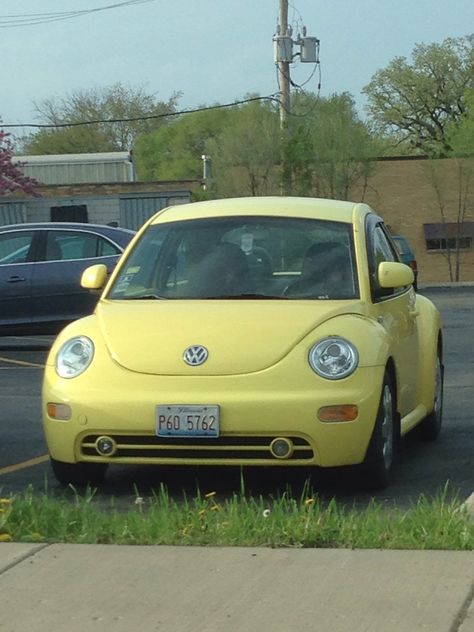 Punch buggy yellow! Punch Buggy Aesthetic, Yellow Car Aesthetic, Yellow Buggie Car, Punch Buggy Car, Yellow Punch Buggy, Yellow Cars Aesthetic, Yellow Beetle Car Aesthetic, Yellow Volkswagen Beetle Aesthetic, Pink Vw Bug