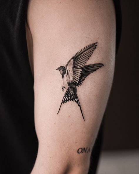 Make an appointment for your microrealism tattoo 📩 #microrealismotattoo #tattoo #tattooart #tattooprague #tattooideas #tattooing #tattoodesign Tree Swallow Tattoo, Swallow Bird Tattoo Meaning, Swallow Tattoo Ideas, Barn Swallow Tattoo, Hand Tattoos Ideas, Tattoo Swallow, Tattoo Prague, Tattoo Ideas With Meaning, Swallow Tattoo Design