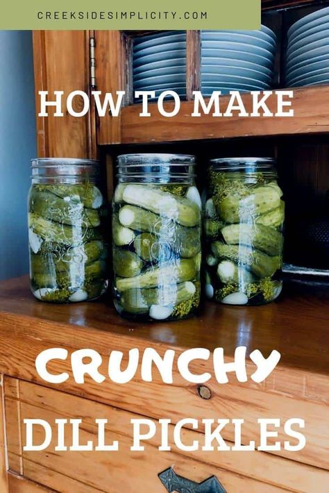 Make your own, super crisp & crunchy dill pickles, without using any weird additives! I get compliments on these pickles EVERY TIME I share them. Crunchy and delicious pickles, with just the right amount of tanginess. No alum or pickle crisp needed! Clean ingredients, no sugar. #dillpickles #crunchydillpickles #crispydillpickles Crunchy Dill Pickle Recipe, Crispy Dill Pickles, Crunchy Dill Pickles, Making Dill Pickles, Pickle Recipes Homemade, Dill Pickle Recipe, How To Make Pickles, Pickles Recipe, Canning Pickles