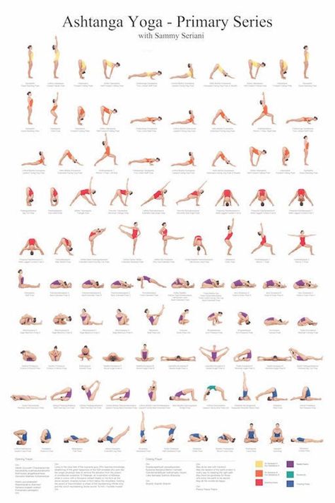 Ashtanga Yoga Poses, Yoga Foto's, Ashtanga Primary Series, Yoga Chart, Ashtanga Yoga Primary Series, Yoga Ashtanga, Ashtanga Vinyasa Yoga, Body Transformations, Yoga Beginners