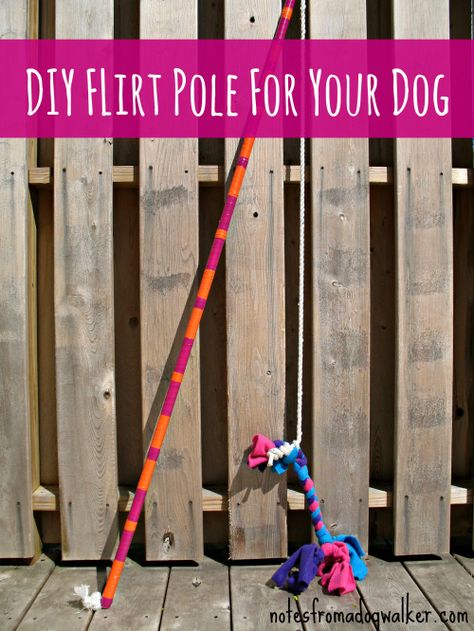 The Flirt Pole: Dog Toy or Life Changer? | notes from a dog walker Diy Dog Toys, Dog Enrichment, Dog Games, Dog Projects, Aggressive Dog, Dog Agility, Diy Dog, Dog Obedience, Dog Training Obedience