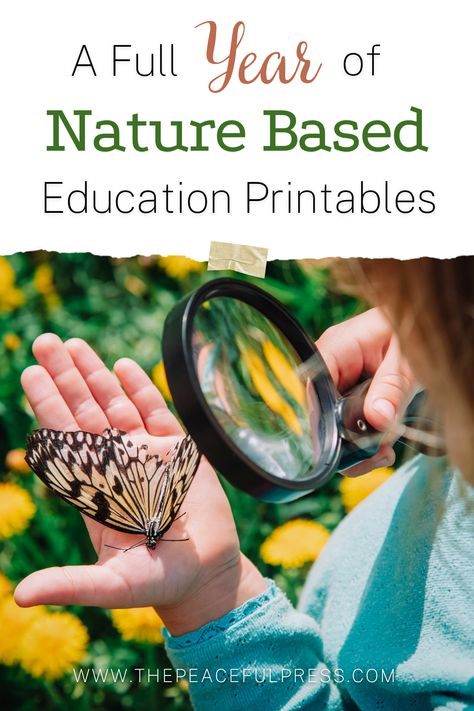 Study the great outdoors with an entire year of Nature Guides for preschool homeschool. The sets of printable nature based curriculum are the perfect unit studies for beginning homeschooling with your toddler. Each explores various themes from the farm, trees, mountains, and more! All our homeschool lessons are based on Charlotte Mason and Montessori methods. Download the free booklist for 100 kid's books about nature! Sign up to receive a week of sample curriculum at ThePeacefulPreschool.com Forest School Printables, Nature Science Preschool, Nature Study Curriculum, Charlotte Mason Co-op, Preschool Forest School Activities, Nature Activity Preschool, Nature Study For Preschoolers, Nature Based Preschool Curriculum, Preschool Nature Study