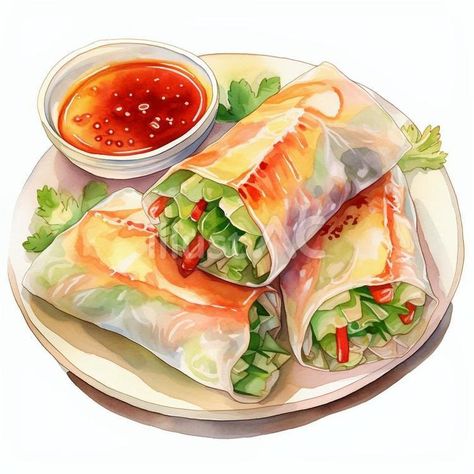 Free Vectors | Fresh spring roll (rice paper roll salad) Spring Roll Drawing, Spring Roll Illustration, Vietnam Roll, Breakie Ideas, Salad Drawing, Vietnamese Rolls, Food Sketches, Salad Roll, Rice Paper Wraps