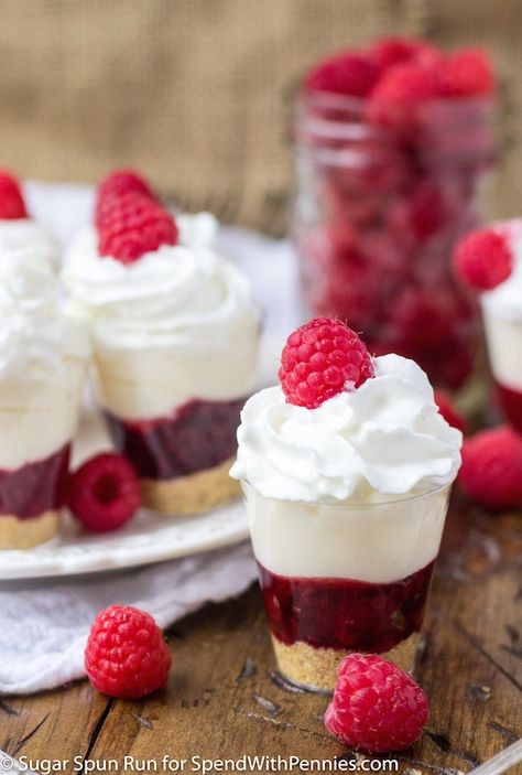 Easy, no-bake Raspberry Cheesecake Dessert Shooters! Decadent little treats made with a tart raspberry filling layered over a graham cracker crust, and then topped with a rich, creamy, no-bake cheesecake. Cheesecake Dessert Shooters, Desert Shooters, Tiny Desserts, Lemon Lush Dessert, Dessert Shooters Recipes, Tart Raspberry, Raspberry Pie Filling, Birthday Cake Alternatives, Shot Glass Desserts