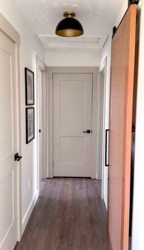 Modern Hallway Renovation You Can DIY - Megan Dauphinee Living Amber Interiors Doors, Bedroom Doors Painted, How To Transform Old Doors, How To Paint Indoor Doors, Hallway With Different Color Doors, Hallway Door Paint Colors, Hallway With Painted Doors, Studio Mcgee Interior Doors, Neutral Door Colors