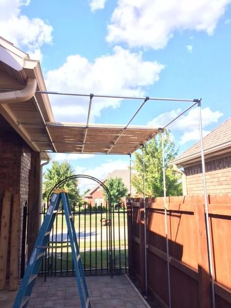 Small Screened Porch, Arizona Backyard, Electrical Conduit, Diy Pipe, Deck Designs Backyard, Backyard Greenhouse, Patio Shade, Diy Electrical, Patio Awning