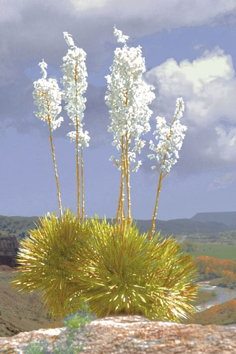 New Mexico State Flower, New Mexico Plants, New Mexico Flowers, Mexico Plants, Yucca Flower, Beautiful Wallpaper Images, State Flowers, New Mexico Style, Travel New Mexico