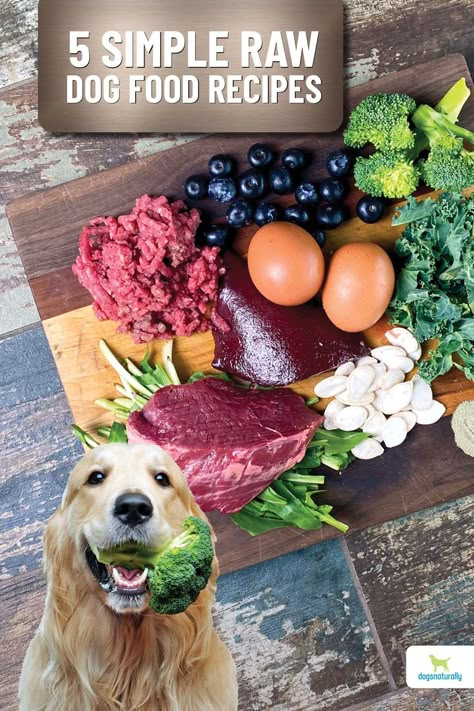 All Natural Dog Food Recipes How To Make, Raw Dog Food Recipes Puppies, Dog Raw Diet Recipes, Dog Food Recipes Raw, Raw Food Dog Recipes, How To Make Your Own Dog Food Recipes, Raw Dog Food Recipes Barf, Raw Meals For Dogs, Best Raw Food For Dogs