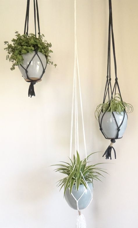 Diy Macrame Plant Hanger Tutorials, Macrame Wedding Decor, Basic Knots, Plants Home Decor, Macrame Plant Hanger Tutorial, Plant Wall Decor, Macrame Table Runner, Hanging Plant Wall, Plants Home