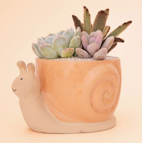 Add some personality to your favorite cactus or succulent with this adorable Sunset Snail Planter. Crafted out of ceramic this unique peachy orange turtle-shaped planter combines unglazed elements with reactive-glazed accents for a fun addition to your space! Dimensions: 3.75"L x 2.75"W x 2.5"H Animal Pinch Pots, Snail Planter, Ceramic Snail, Unique Flower Pots, Anniversary Congratulations, Scratch Off Cards, Peachy Orange, Cat Lady Gift, Ceramics Ideas