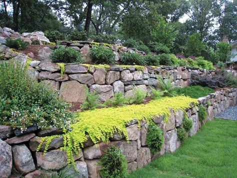 1000+ ideas about Rock Wall Landscape on Pinterest | Outdoor ... Rock Wall Landscape, Rock Wall Gardens, Sloped Backyard Landscaping, Terraced Landscaping, Sloped Yard, Sloped Backyard, Landscaping Retaining Walls, Hillside Landscaping, Sloped Garden