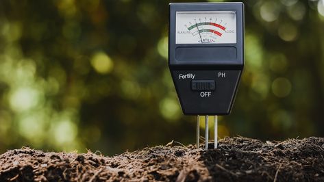 How to Adjust Soil pH to Help Your Garden Thrive - 2021 - MasterClass Pallet Kids, Acid Loving Plants, Uses For Coffee Grounds, Plant Nutrients, Growing Potatoes, Soil Testing, Soil Ph, Seed Germination, Healthy Garden