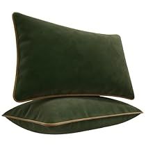 Velvet Pillows On Couch, Dark Green Cushions, Designer Cushions, Green Cushions, Green Bedding, Brown Pillows, Decor Pillows, Velvet Throw, Decorative Cushion Covers