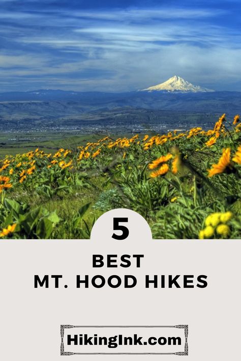 Breathe in the fresh mountain air ⛰️ and soak in the breathtaking views. Lace up your boots 🥾🥾 and take one of the amazing Mt. Hood hikes. #mthoodhikes #hiking Mt Hood Hikes, Mount Hood National Forest, Trillium Lake, Mt Hood Oregon, Oregon Hikes, Hiking Poles, Alpine Meadow, Mirror Lake, Hiking Spots