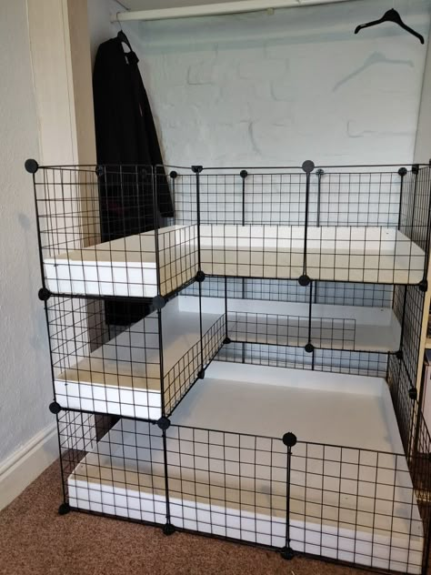 C C Cage Guinea Pigs Ideas, C&c Guinea Pig Cage Ideas, C And C Cage, Diy Bunny Cage, Cavy Cage, Indoor Rabbit Cage, Diy Guinea Pig Cage, Guinea Pig Cages, Guinea Pig Diy