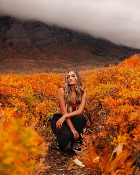 🍁 Your Fall Photoshoot Awaits! 🍁 Ready to capture the stunning fall colors? As you can see from these photos I know a little something about taking pictures in fall. Whether it’s Utah’s breathtaking mountains, a cozy pumpkin patch, a fun spooky photoshoot, or an out-of-state adventure, I’m your go-to photographer for all things autumn. Booking now message me! 💌 #utahinfall #autumn #autumnphotoshoot #utahphotographer #fallphotography Fall Canyon Photoshoot, Fall Photo Shoots, Spooky Photoshoot, Mountain Photoshoot, Fall Shoot, Fall Senior Pictures, Fall Photoshoot, Fall Photos, Autumn Photography