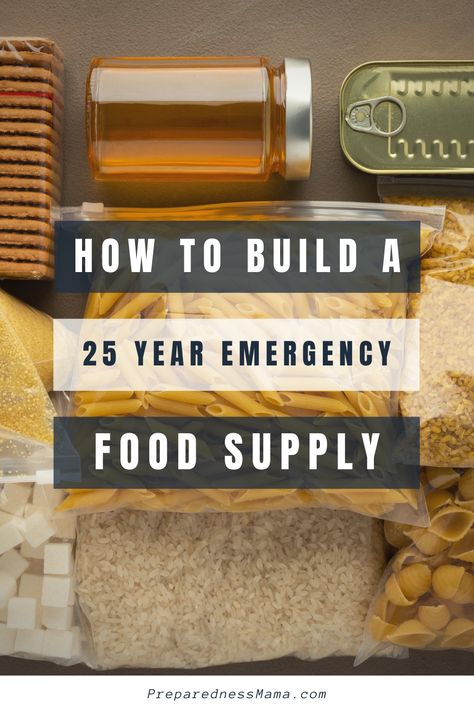 Diy Emergency Food Supply, Best Emergency Food Survival Kits, Years Supply Of Food, Foods That Last A Long Time, Emergency Food Supply List, Alaskan Homestead, Emergency Stockpile, Food Supply List, Emergency Food Kit