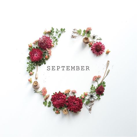 ༺ Ⱳᴇʟϲoмᴇ ༻ September September Quotes, Plum Crumble, Welcome September, Girls Occasion Dresses, Wallpaper Autumn, Hello September, Days And Months, Month Flowers, New Month