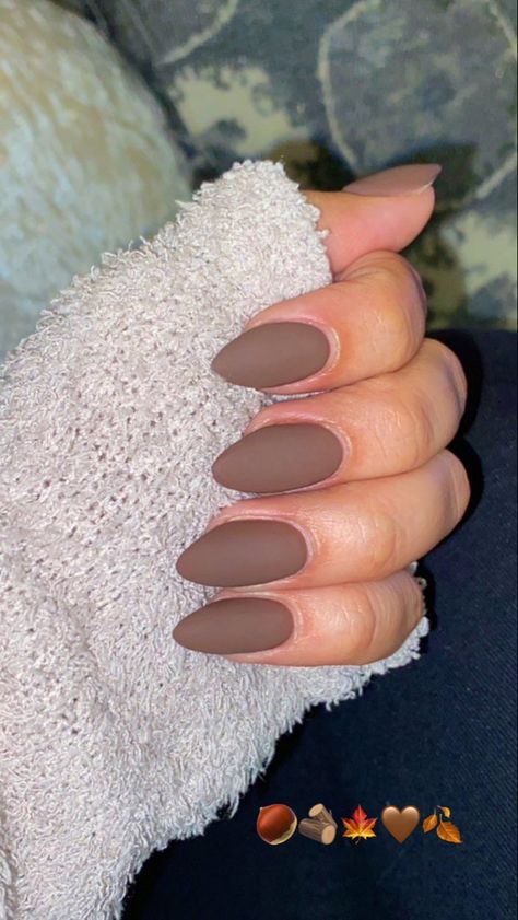 Matte Brown Acrylic Nails Almond, Short Almond Matte Nails, Matt Almond Nails, Matte Fall Nails Almond, Brown Matt Nails, Matte Nails Almond Shape, Tan Matte Nails, Matte Brown Acrylic Nails, Matte Nails Brown