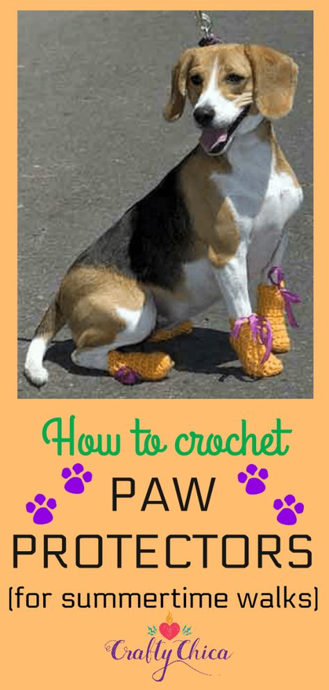 DIY dog paw protectors Dog Boots Diy, Pet Crochet, Latina Style, Crochet Dog Clothes, Dog Slippers, Paws Socks, Paw Protector, Dog Booties, Crochet Dog Patterns