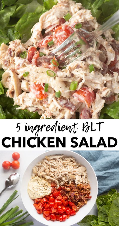 Keto Blt Chicken Salad, Chicken Salad Blt, Blt Chicken Salad Sandwich, Chicken Salad With Tomatoes, Healthy Blt Chicken Salad, Blt Chicken Salad Recipe, Tomato Chicken Salad, Simple Chicken Salad Recipe, Loaded Chicken Salad