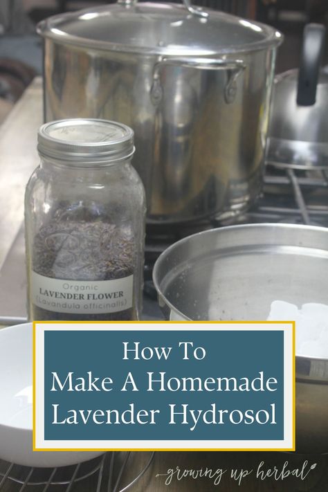 Learn how to make your own homemade lavender hydrosol in this step-by-step tutorial. Hydrosols are safe, effective, and have many uses. You've gotta try it! Homemade Lavender Oil, Medicine Dream, Alchemy Recipes, Natural Headache Relief, Lavender Hydrosol, Diy Natural Remedies, Medicine Garden, Introducing Yourself, Herbal Academy