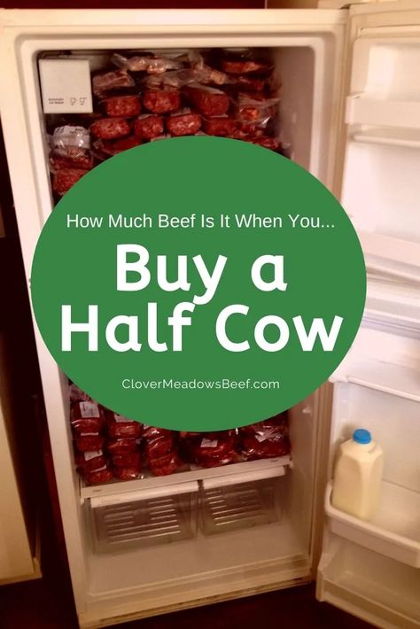 Buying a half cow. How much beef is it? (video) - Clover Meadows Beef Beef Cuts Chart, Beef Rub, Brisket Seasoning, Brisket Oven, How To Cook Brisket, Prime Rib Recipe, Garlic Herb Butter, Eat Beef, How To Cook Beef