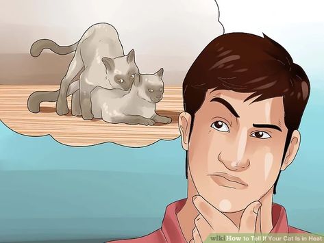 Wikihow: How to Tell If Your Cat Is in Heat: 11 Steps (with Pictures)  I actually found this during a legitimate search...for how to tell if my cat was in heat Spy Kids 2, Heimlich Maneuver, Hi Welcome To Chili's, Cat In Heat, Female Cat, Feral Cat, Spy Kids, Rawr Xd, House Cat