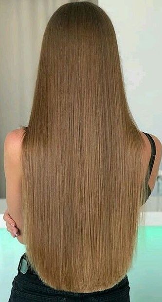 Dark Honey Brown Hair, Low Ponytail Ideas, Braided Low Ponytail, Ponytail Ideas, Brown Straight Hair, Beauty Hair Color, Honey Brown Hair, Long Hair Pictures, Lustrous Hair