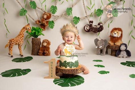 Jungle Theme Cake Smash, Safari Cake Smash, Jungle Theme Cake, One Year Cake Smash, One Year Cake, Party Animal Cake, Jungle Theme Birthday Party, Birthday Photoshoot Ideas, Safari Cake