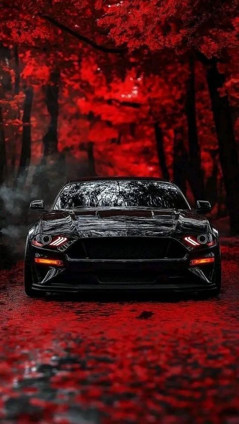 Mustang Wallpaper 4k, Gtr Iphone Wallpaper, Mustang Gtr, Mustang Car Aesthetic, Most Reliable Suv, Ford Mustang Wallpaper, 2024 Ford Mustang, Car Iphone Wallpaper, Tokyo Drift Cars