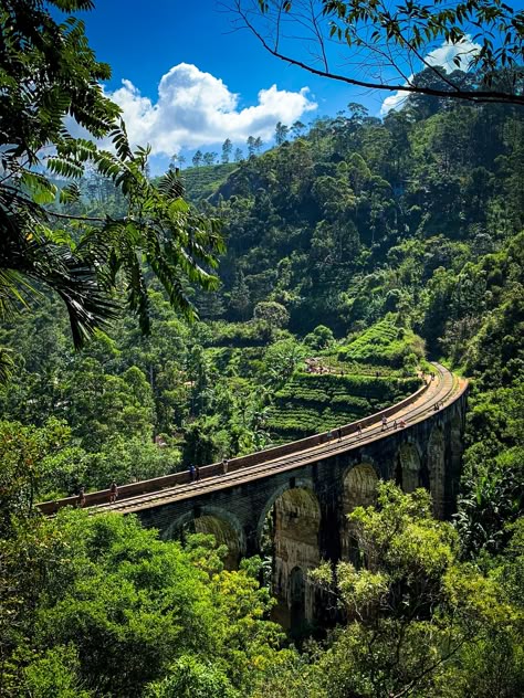 Nine-Arch bridge in Ella Sri Lanka. Probably the most instagrammed thing in this part of the island and I can see why. Definitely worth a stop and is great paired with a hike through the tea-fields to Little Adams Peak. #backpacker #travel #backpacking #ttot #tent #traveling http://bit.ly/2YjyIYH Adam's Peak Sri Lanka, Adams Peak, Sri Lanka Holidays, Ella Sri Lanka, Backpacking Asia, Sri Lanka Travel, Arch Bridge, Holiday Packages, Future Travel