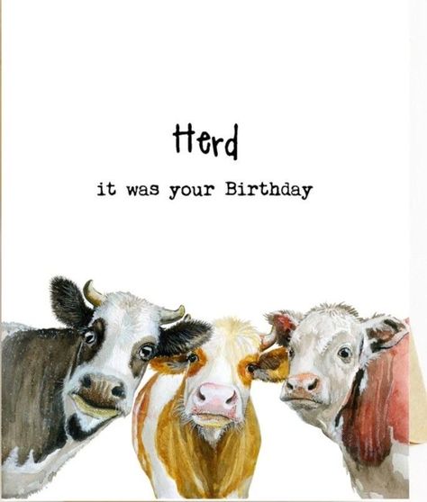 Happy Birthday Cow, Happy Birthday Animals, Happy Birthday Illustration, Happy Birthday Man, Funny Happy Birthday Wishes, Birthday Greetings Funny, Birthday Wishes Greetings, Birthday Greetings Friend, Birthday Card Sayings