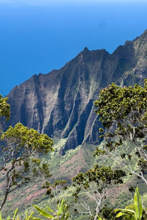 Kalalau Lookout, Tropical Islands Paradise, Napali Coast, Waimea Canyon, Morning View, Once In A Lifetime, Kauai, World Famous, Most Beautiful Places